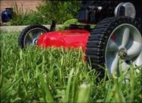 Lawn Mower Tips - Money Saving Tips For Getting Your Lawn Mower Ready for the Season