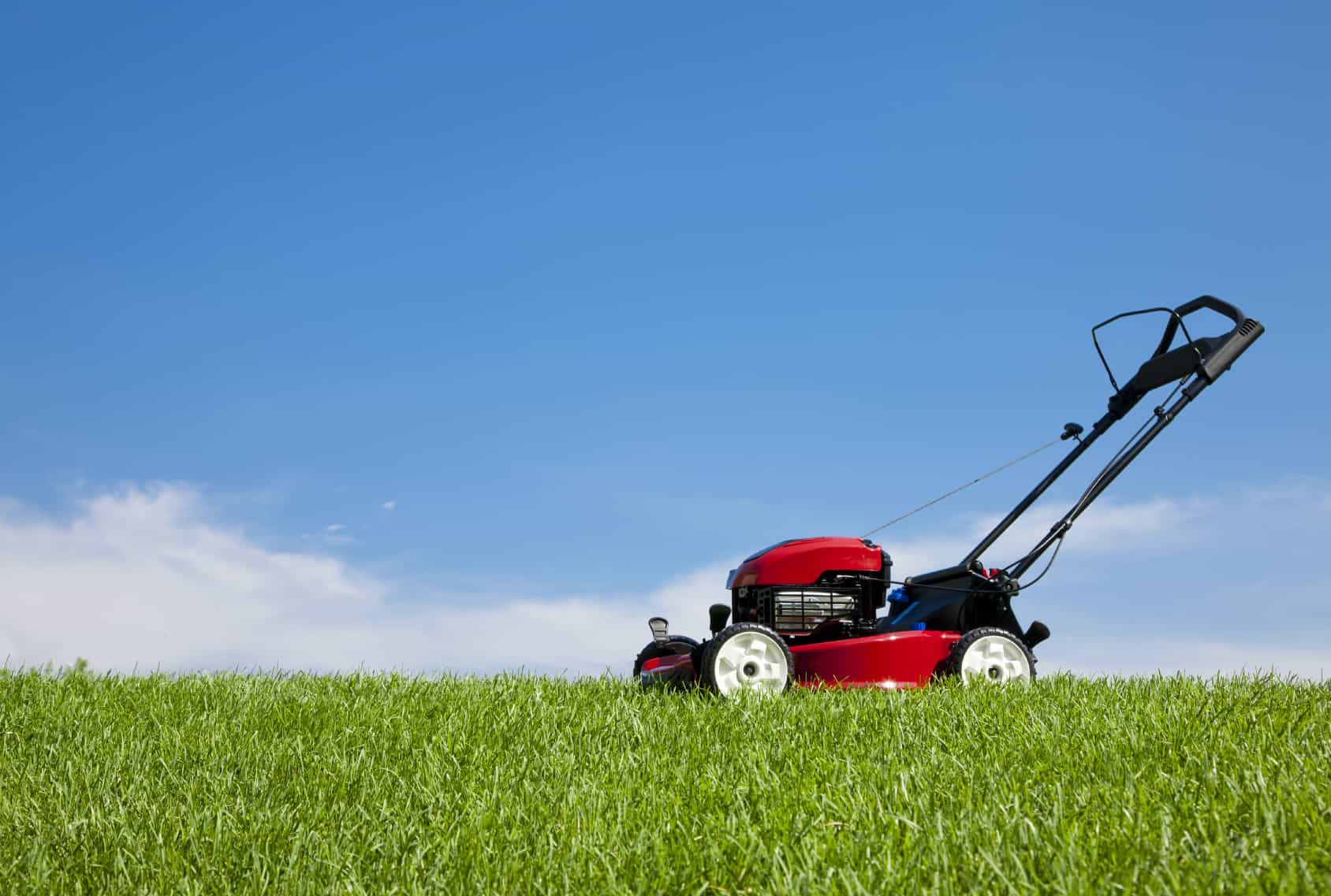 how-effective-lawn-mowing-services-contribute-in-beautifying-your-garden