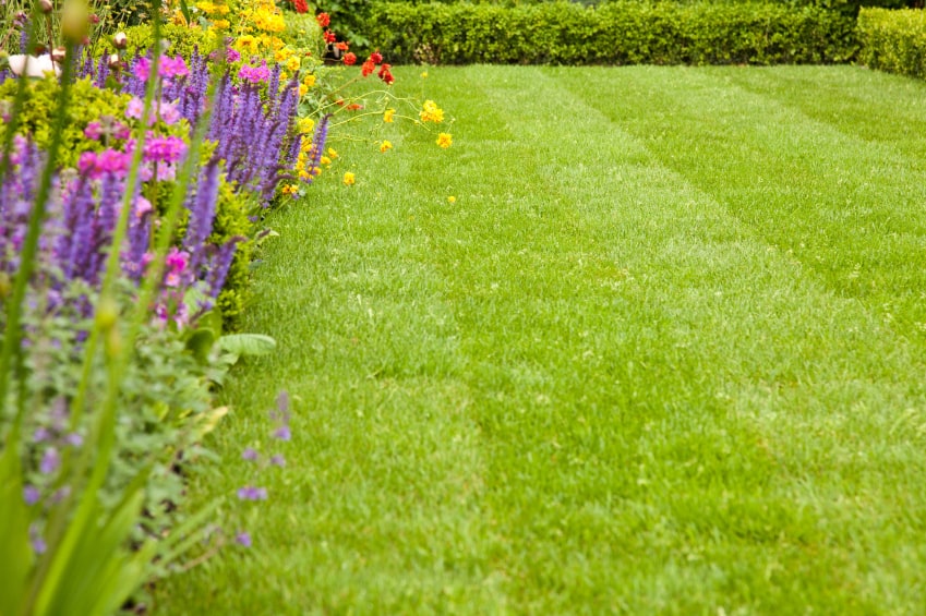 8 simple ways to earn a healthy lawn