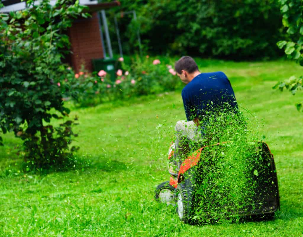 Five Landscaping Tips From the Pros