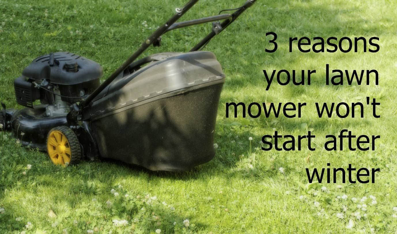 How to Start Lawn Mower After Winter  