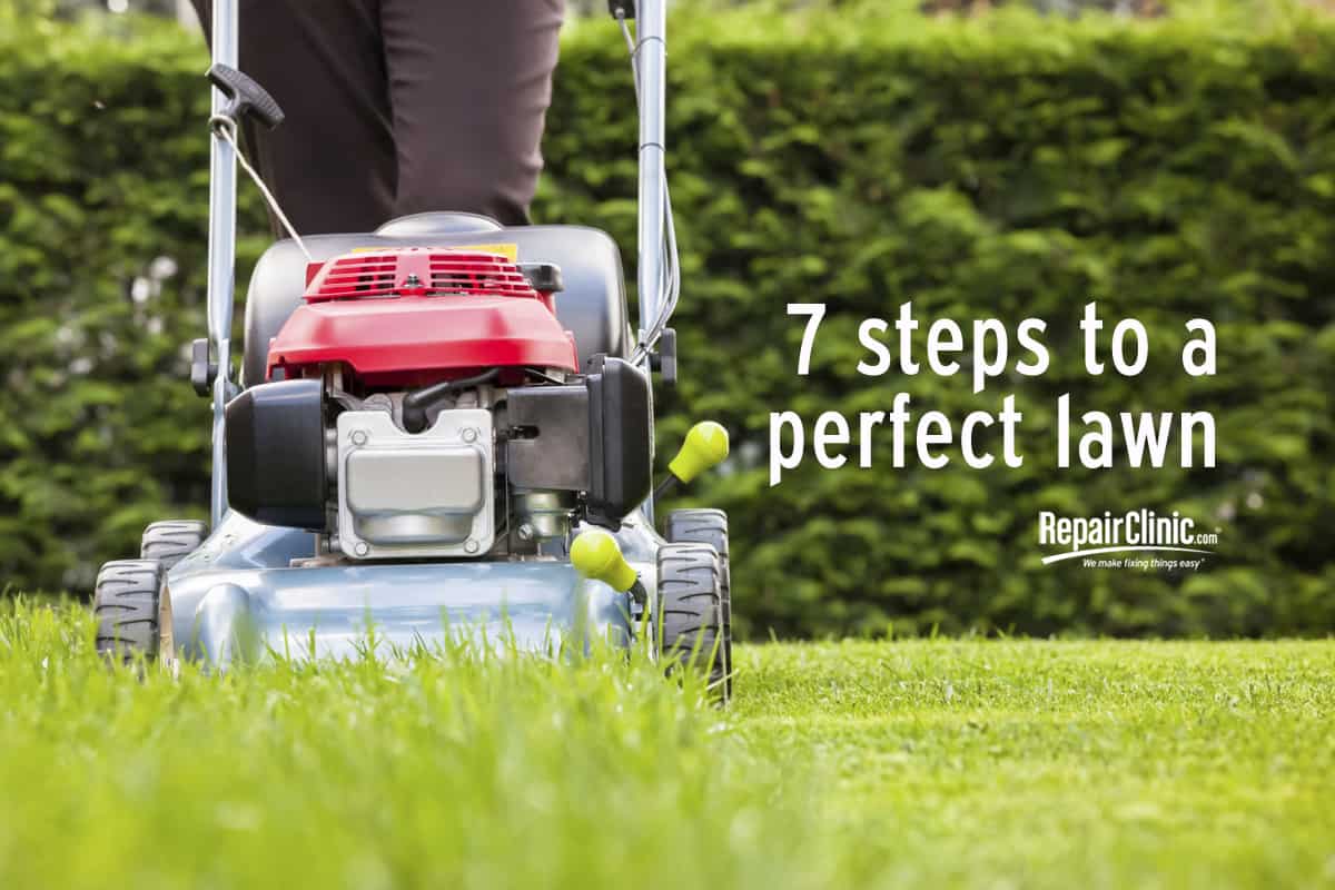 Seven steps to a perfect lawn DIY Repair Clinic