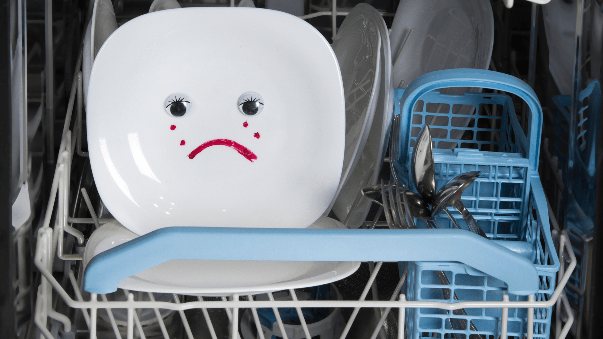 Why Is There Standing Water In My Dishwasher? DIY Repair Clinic