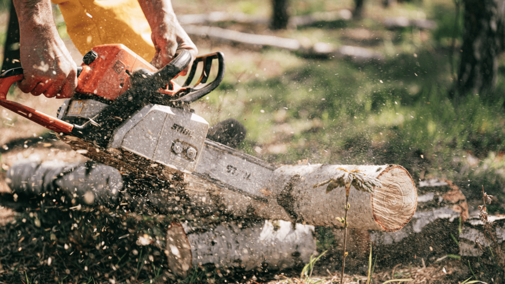 Chainsaw Not Cutting It? Here's the Top 4 Reasons Why.