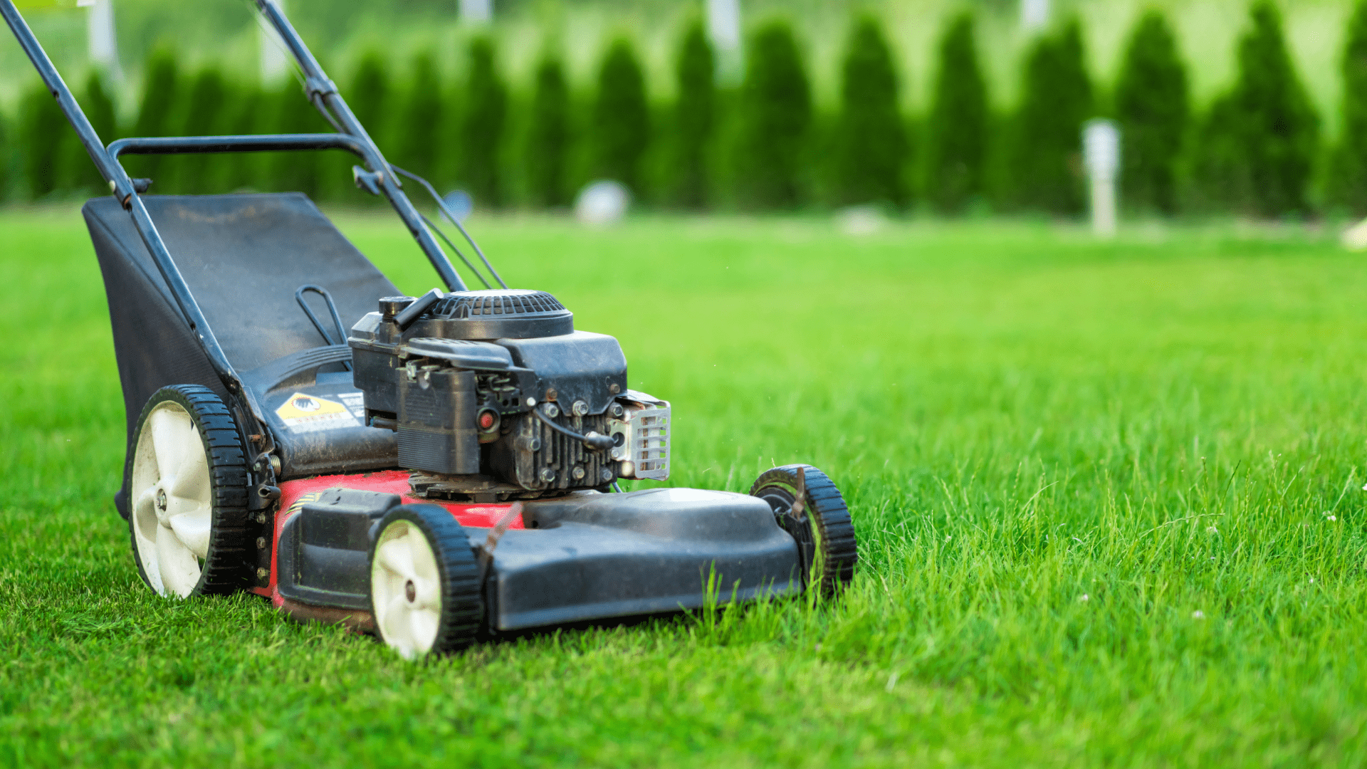 Self propelled lawn on sale mower not moving