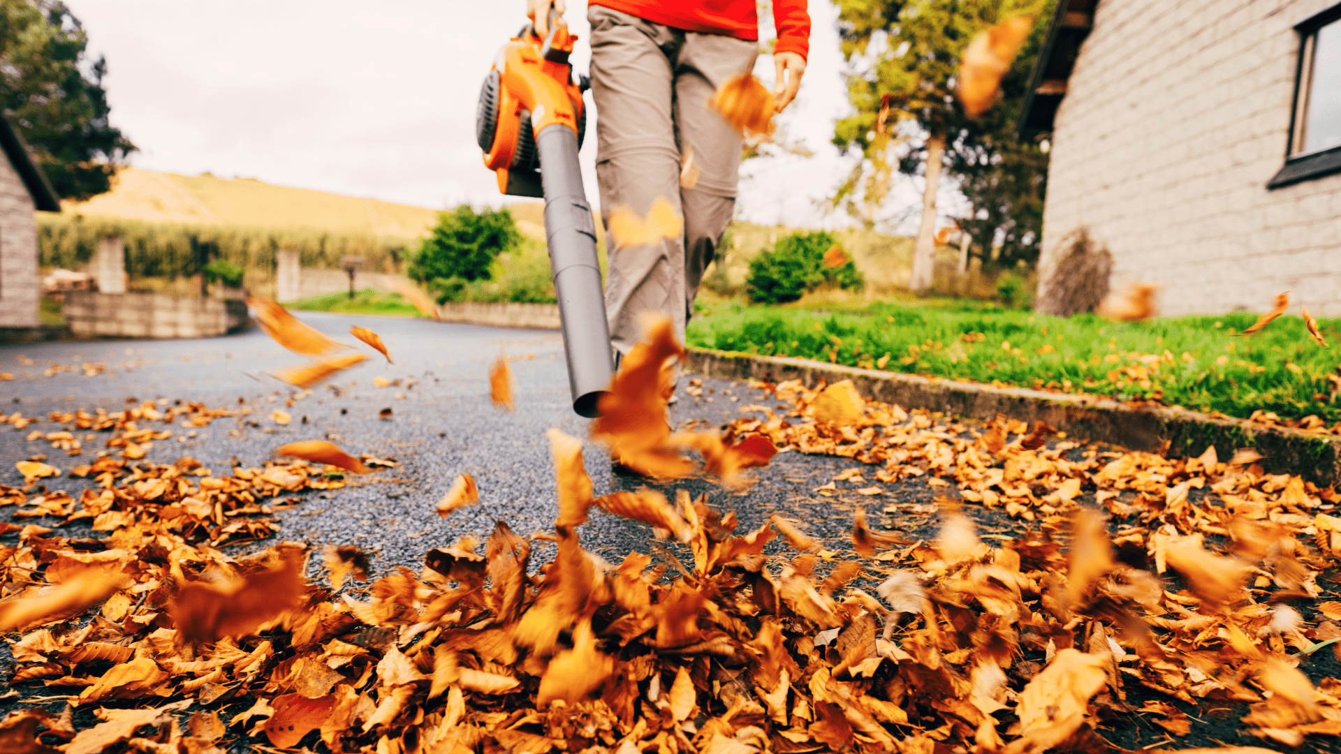 Mastering Leaf Blower Techniques How To Use A Leaf Blower DIY Repair